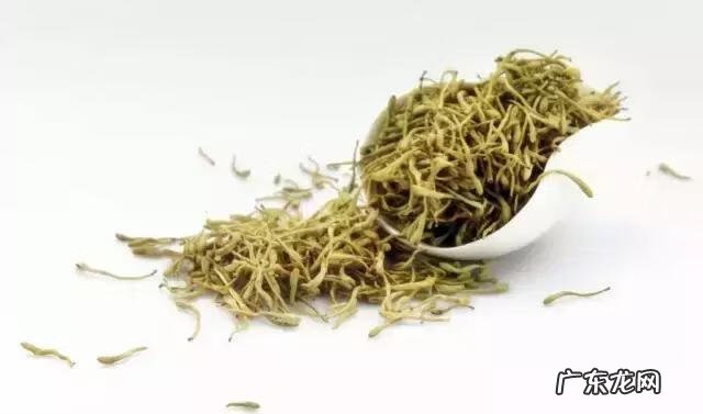 家庭保健医生 中国家庭医生大全