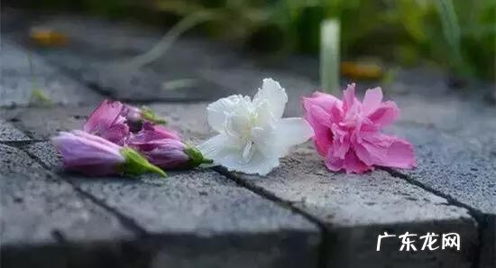 家庭保健医生 中国家庭医生大全