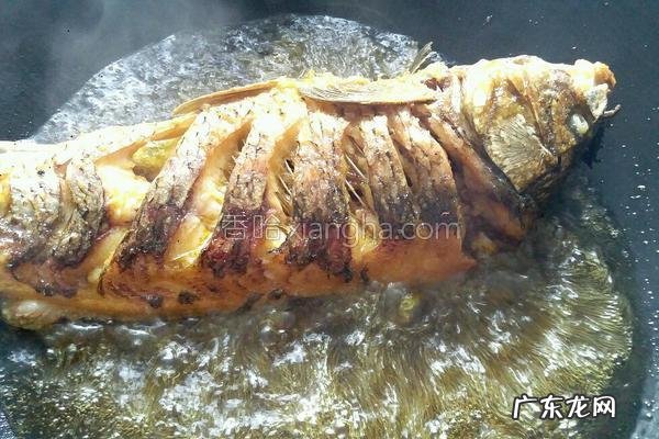 红烧鲤鱼的做法和步骤 红烧鲤鱼的做法大全窍门