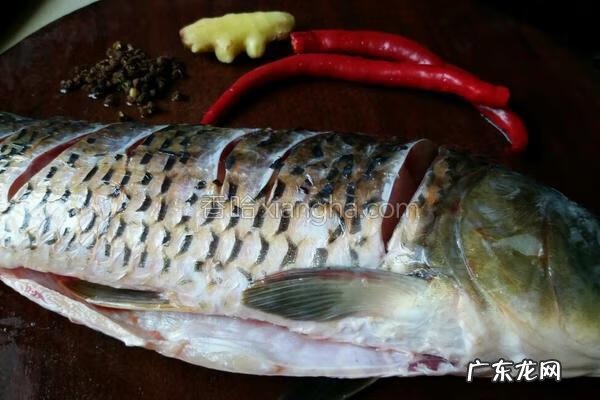 红烧鲤鱼的做法和步骤 红烧鲤鱼的做法大全窍门