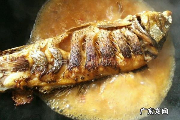 红烧鲤鱼的做法和步骤 红烧鲤鱼的做法大全窍门