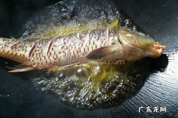 红烧鲤鱼的做法和步骤 红烧鲤鱼的做法大全窍门