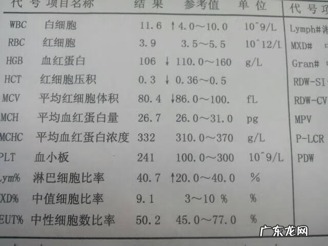 全血24项检查化验单解读 血常规化验单的解读