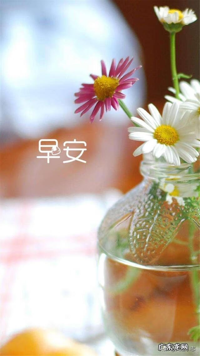 周末温馨短信送客户 周未祝福短信简短