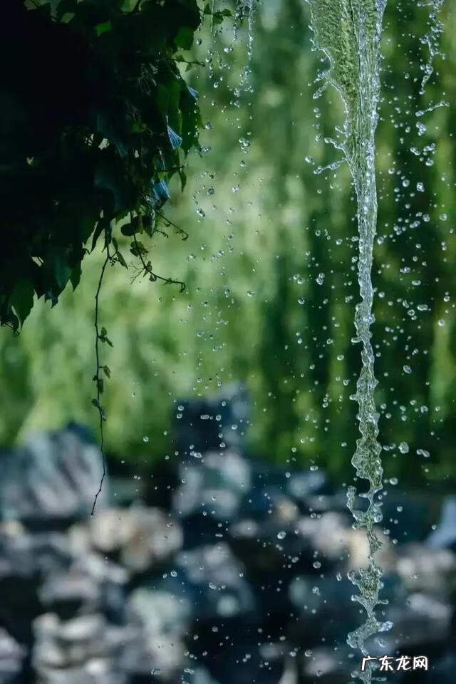 独怜幽草涧边生下一句 独怜幽草涧边生的意思