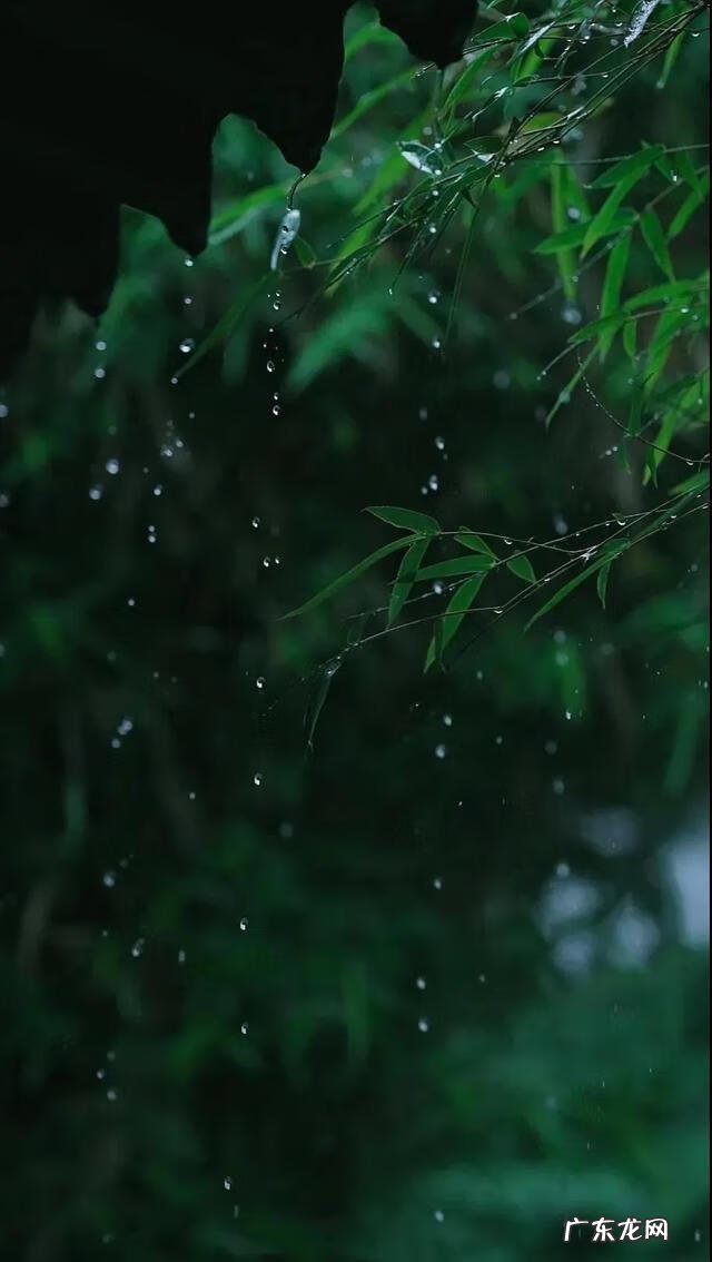 独怜幽草涧边生下一句 独怜幽草涧边生的意思