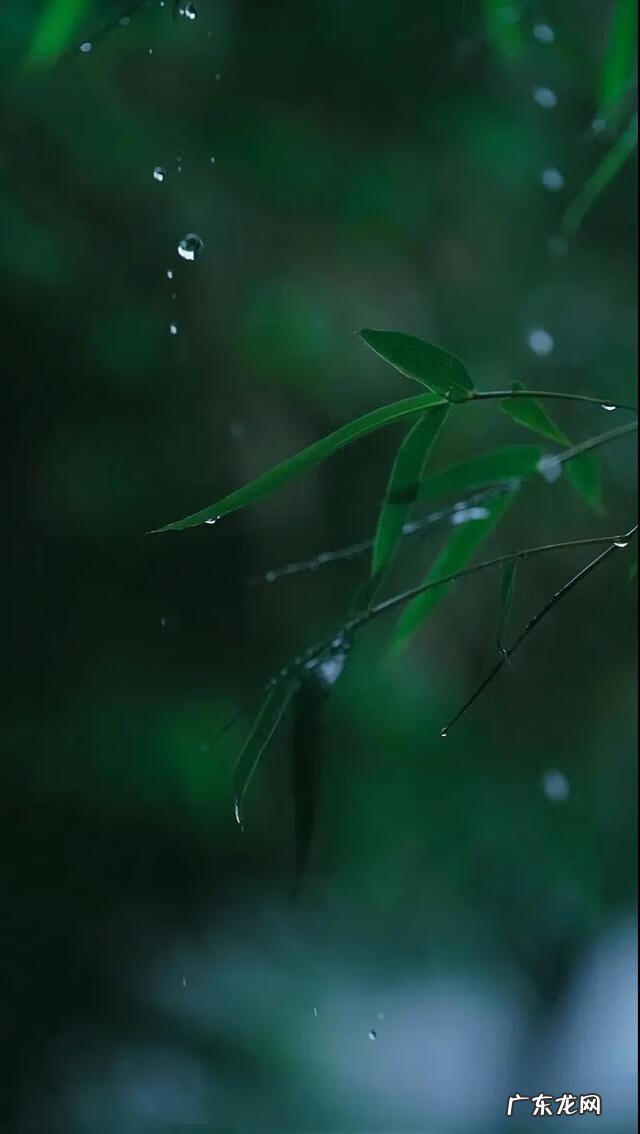 独怜幽草涧边生下一句 独怜幽草涧边生的意思