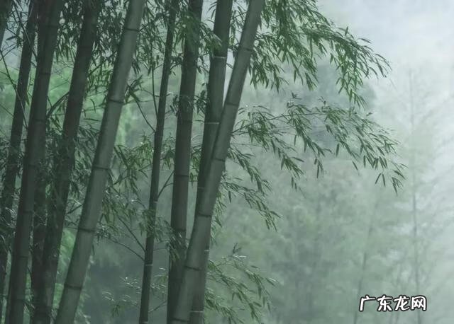 独怜幽草涧边生下一句 独怜幽草涧边生的意思