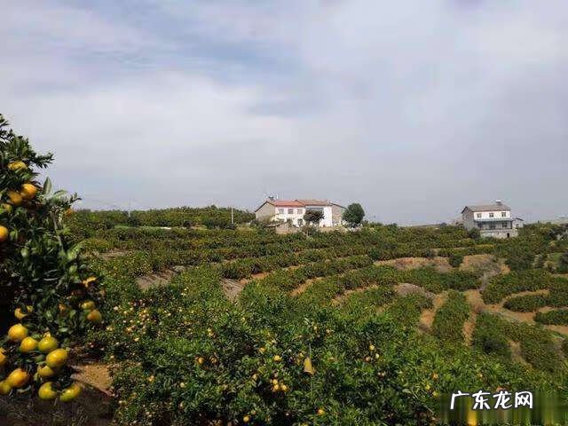 十大风水名画 大明山风水传说