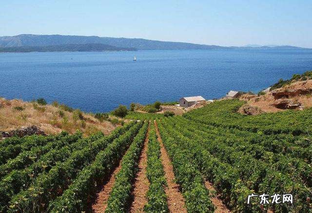 十大风水名画 大明山风水传说