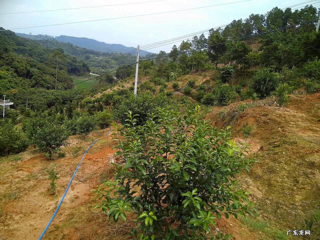 十大风水名画 大明山风水传说