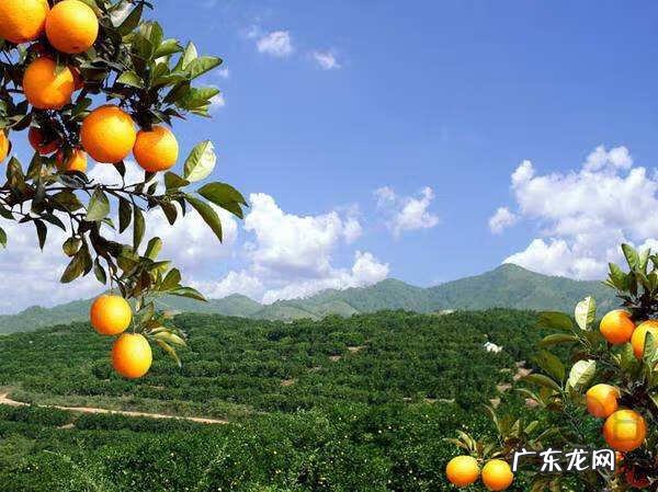 十大风水名画 大明山风水传说