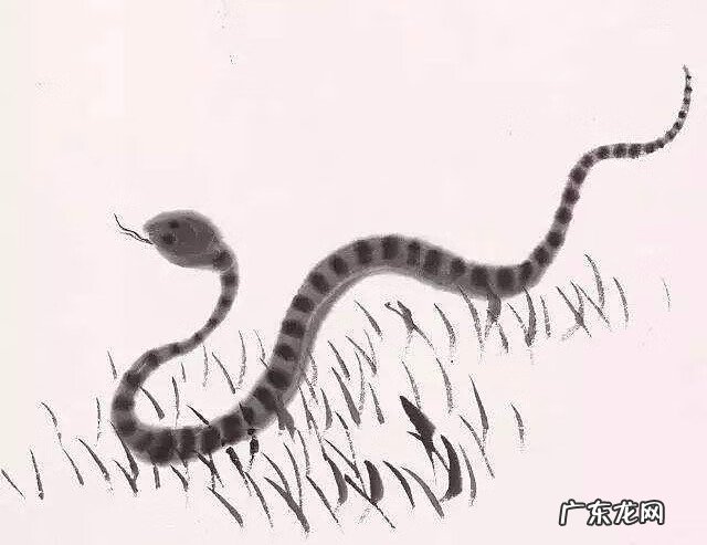 墓地里有蛇是好还是不好 墓地有蛇好吗