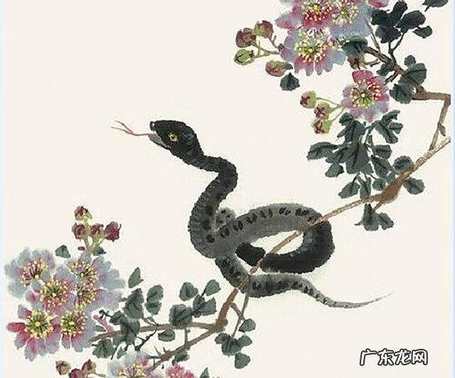 墓地里有蛇是好还是不好 墓地有蛇好吗