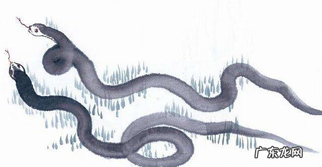 墓地里有蛇是好还是不好 墓地有蛇好吗