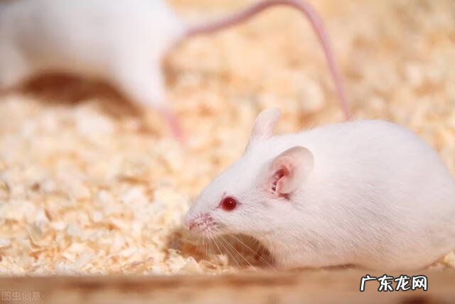 我国新冠疫苗定价的依据 新冠疫苗定价多少