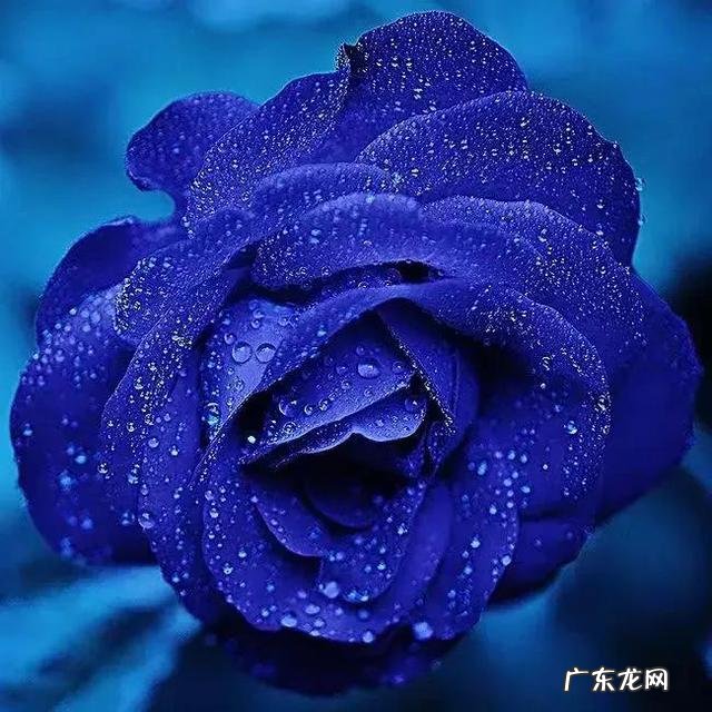 女神节礼物 妇女节和女神节有什么关联呢