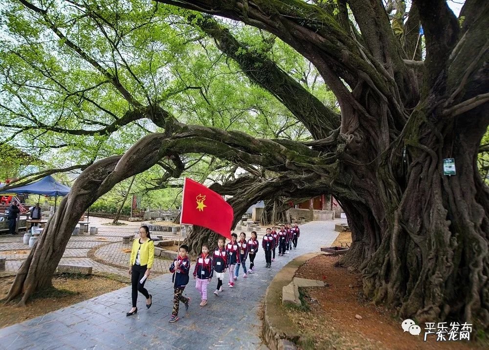 平乐县及各乡镇地图 平乐县风景