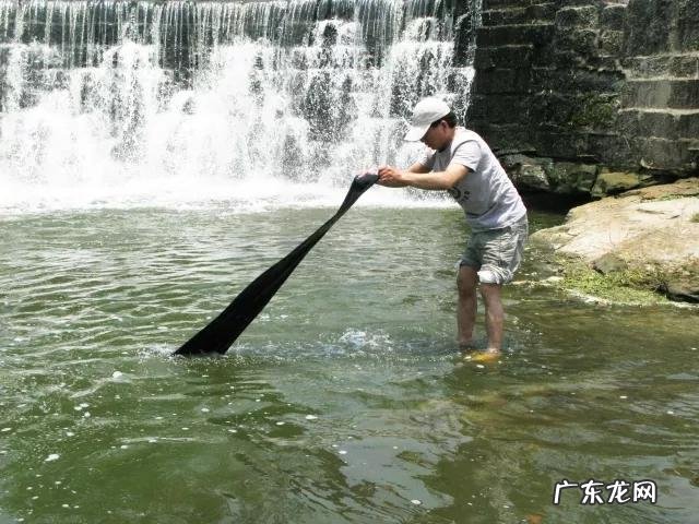 门帘风水最旺的图案 风水蓝色布门帘图片