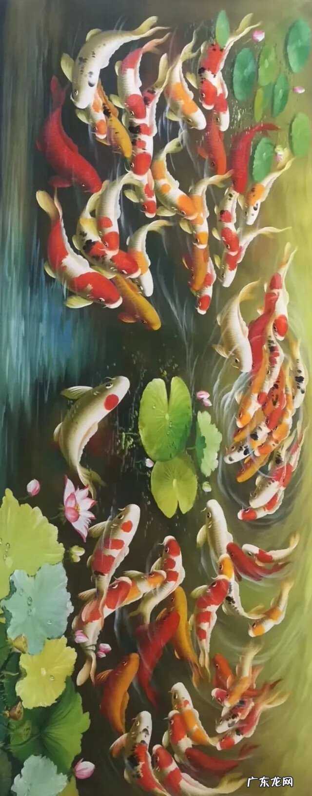 风水鱼有哪些品种 壁纸风水鱼数量