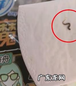 卫生巾里有虫子是真的吗 卫生巾里有虫子怎么办