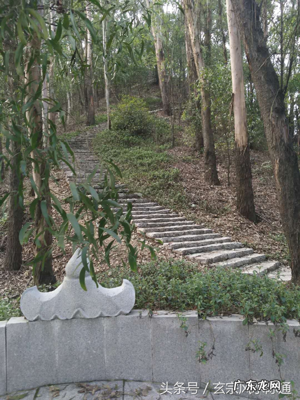 生龙口风水宝地 风水宝地骑龙地