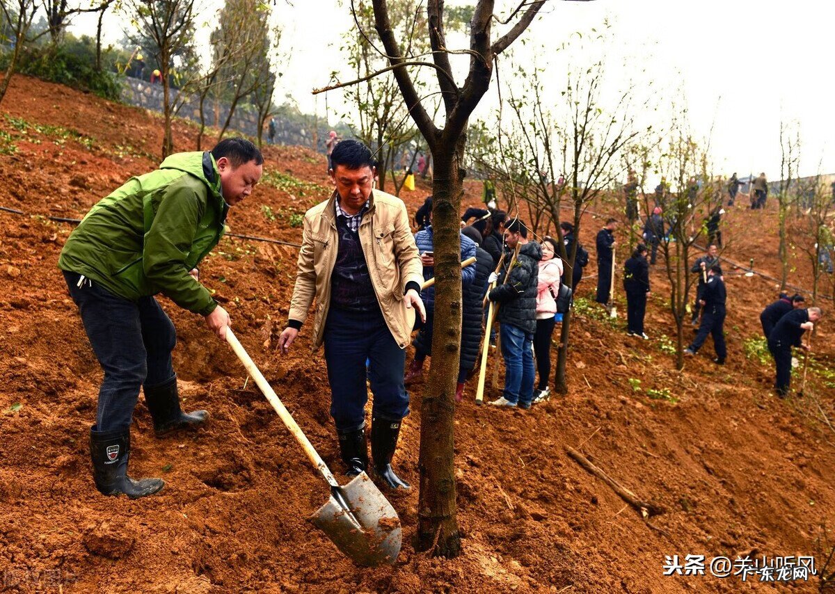 楼房后面有桥风水好吗