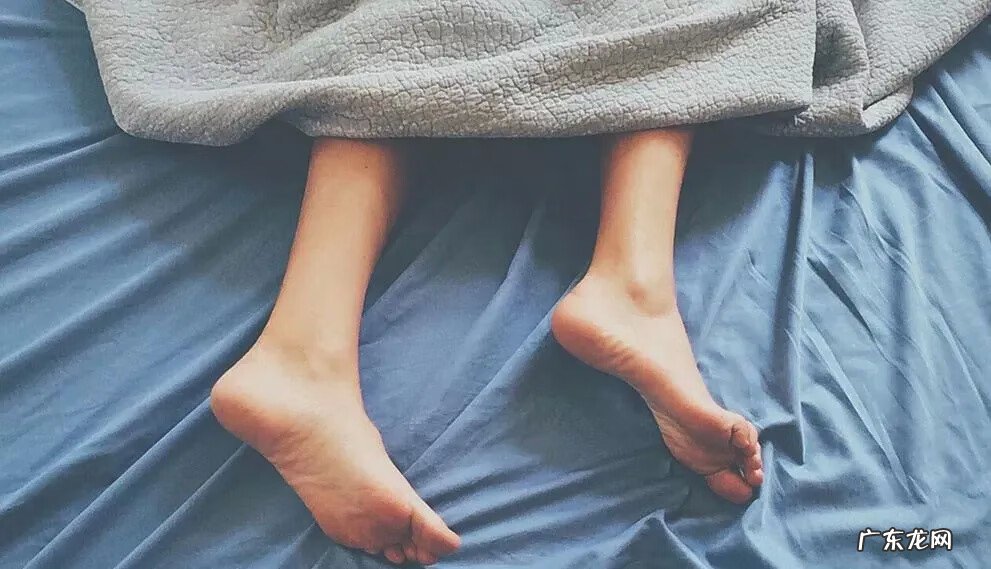 床头放绿色植物风水 床头放绿植风水好不好