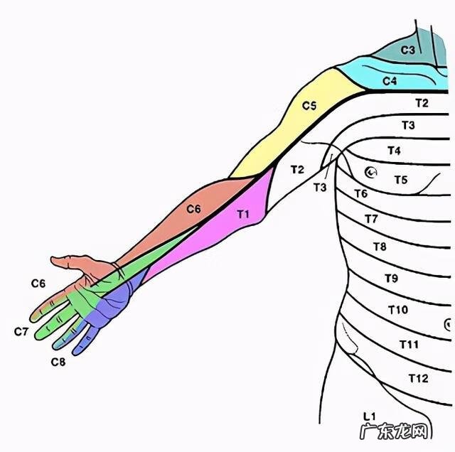 手指一阵一阵的发麻 手指头发麻是什么情况