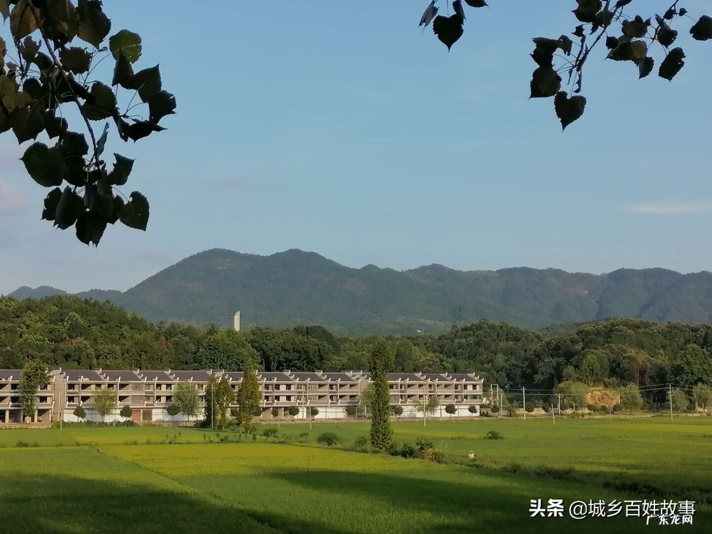 道家风水调理 民间风水顺口溜