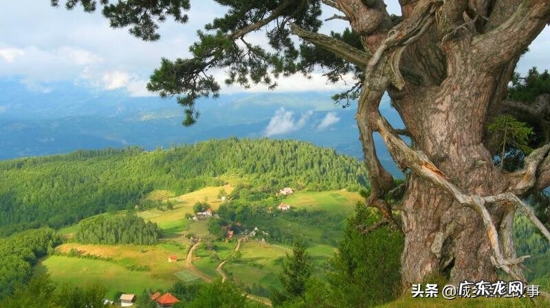 道家风水调理 民间风水顺口溜