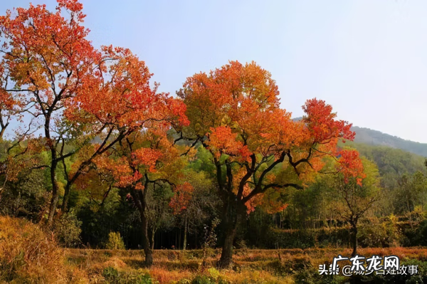 道家风水调理 民间风水顺口溜