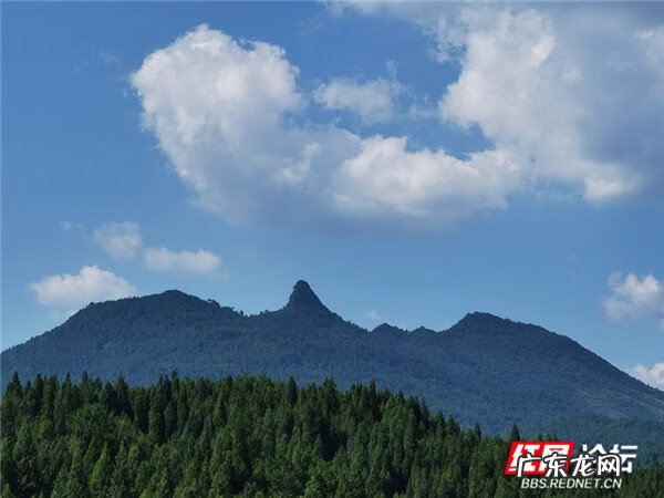 哪里有风水先生 哪里请风水先生