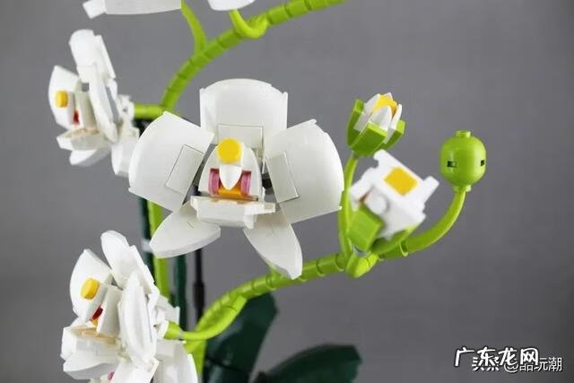 火影卷72 火影忍者漫画649