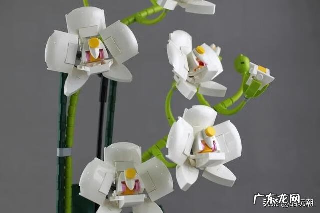 火影卷72 火影忍者漫画649