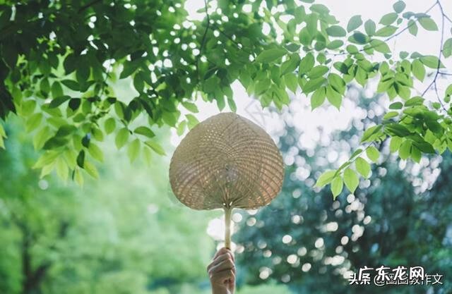 用夏天写一个作文 描写夏天的作文开头唯美