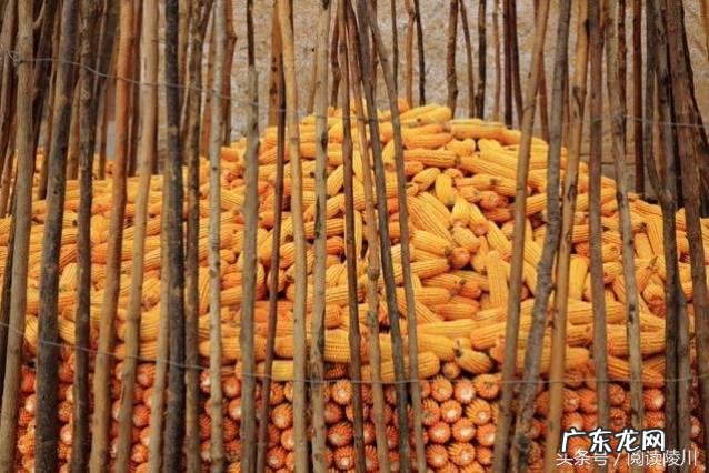 山西风水协会副会长 山西省陵川县风水