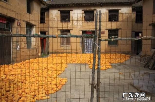 山西风水协会副会长 山西省陵川县风水