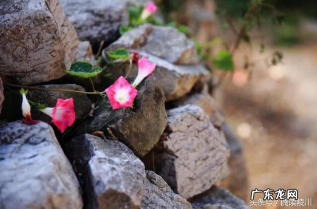 山西风水协会副会长 山西省陵川县风水