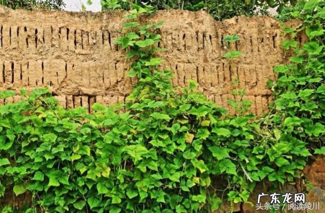 山西风水协会副会长 山西省陵川县风水