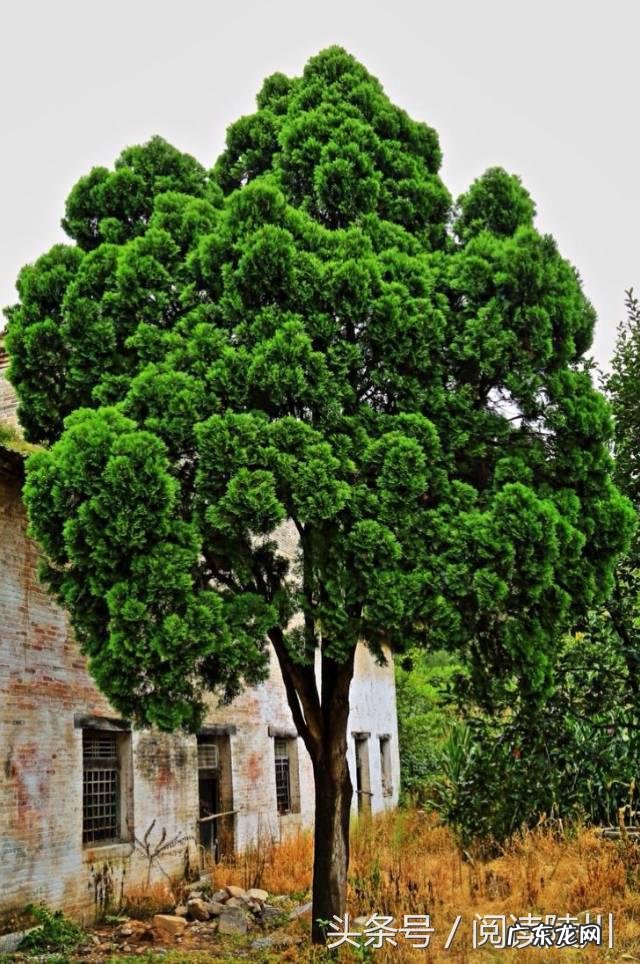 山西风水协会副会长 山西省陵川县风水