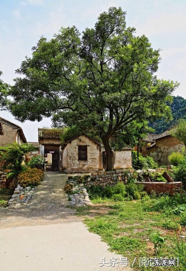 山西风水协会副会长 山西省陵川县风水