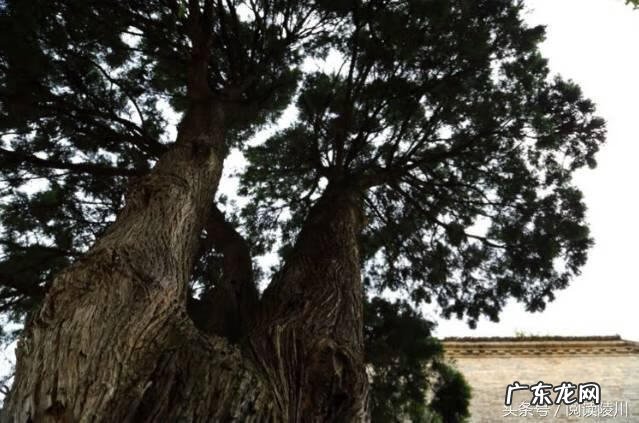 山西风水协会副会长 山西省陵川县风水