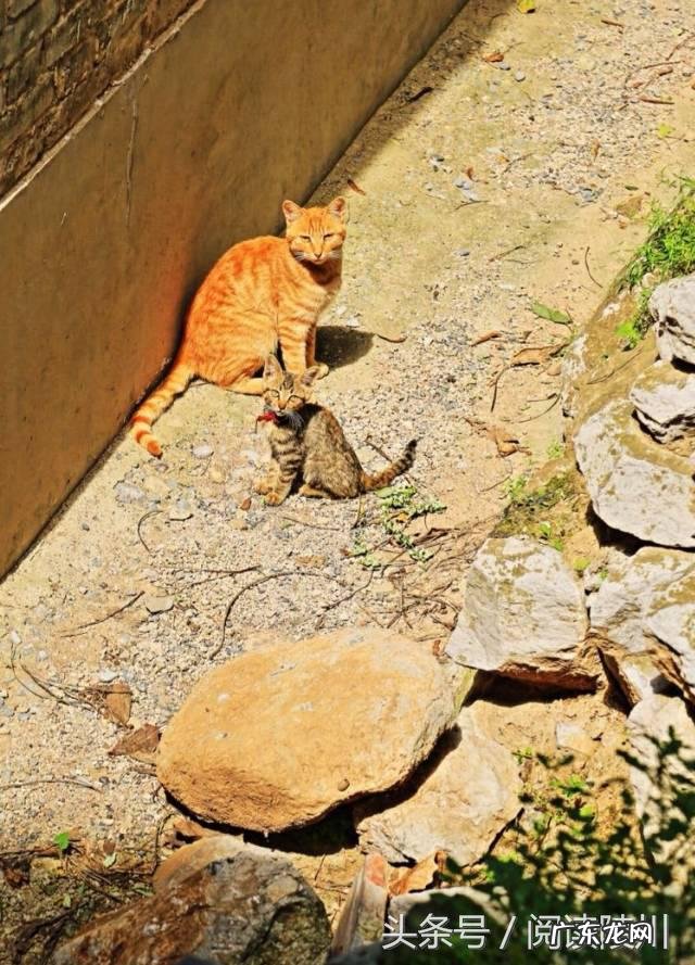 山西风水协会副会长 山西省陵川县风水