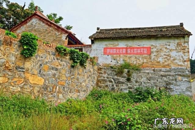 山西风水协会副会长 山西省陵川县风水