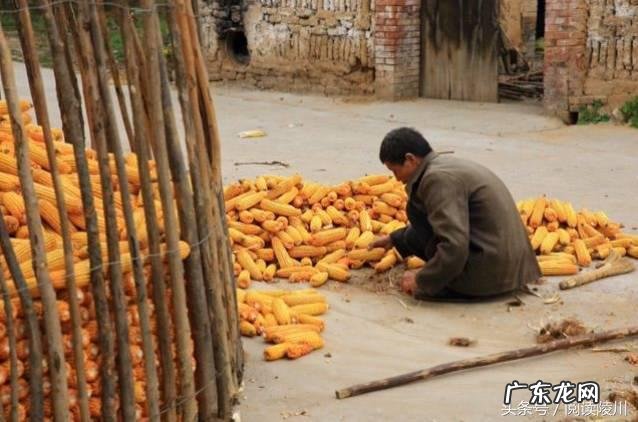 山西风水协会副会长 山西省陵川县风水