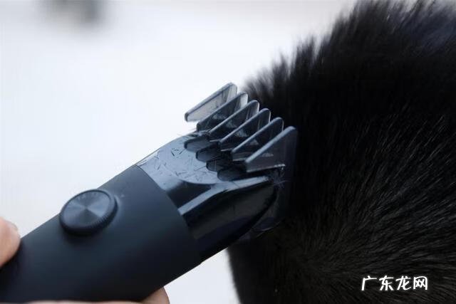 什么理发器好用耐用 哪种理发器好?