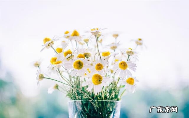 应对方式问卷 应对方式有哪些