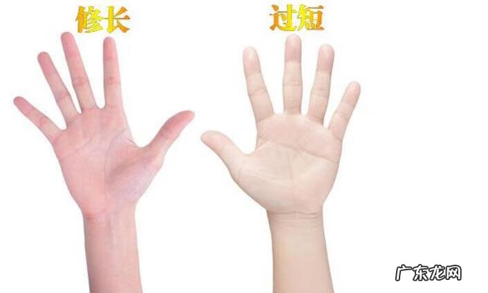 算命看左手还是右手 左右手断掌代表什么