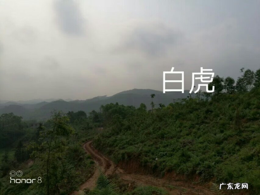 龙门八局二十四山秘诀 二十四山寻龙秘诀,三僚风水